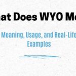What Does WYO Mean? Meaning, Usage, and Real-Life Examples