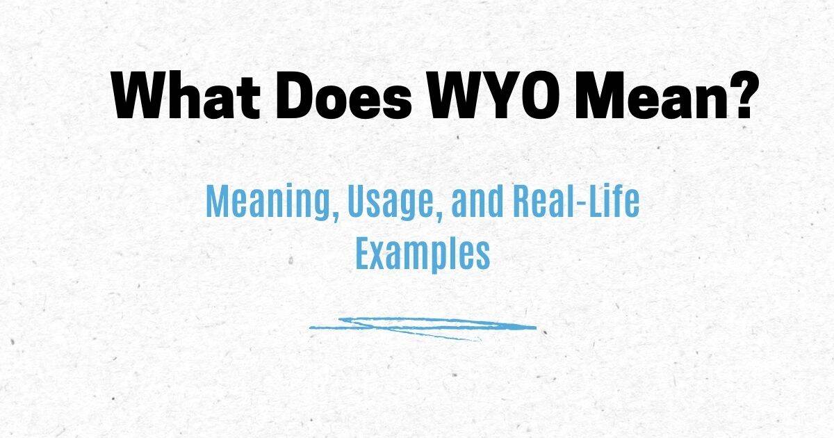 What Does WYO Mean? Meaning, Usage, and Real-Life Examples